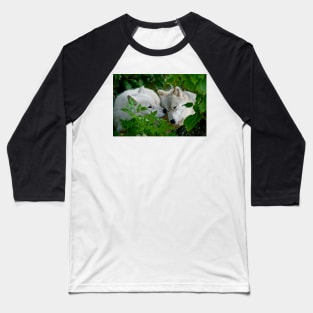 Arctic Wolves Baseball T-Shirt